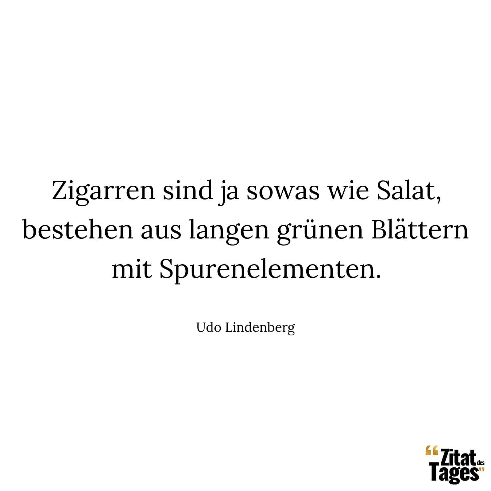 Zigarren sind ja sowas wie Salat, bestehen aus langen grünen Blättern mit Spurenelementen. - Udo Lindenberg