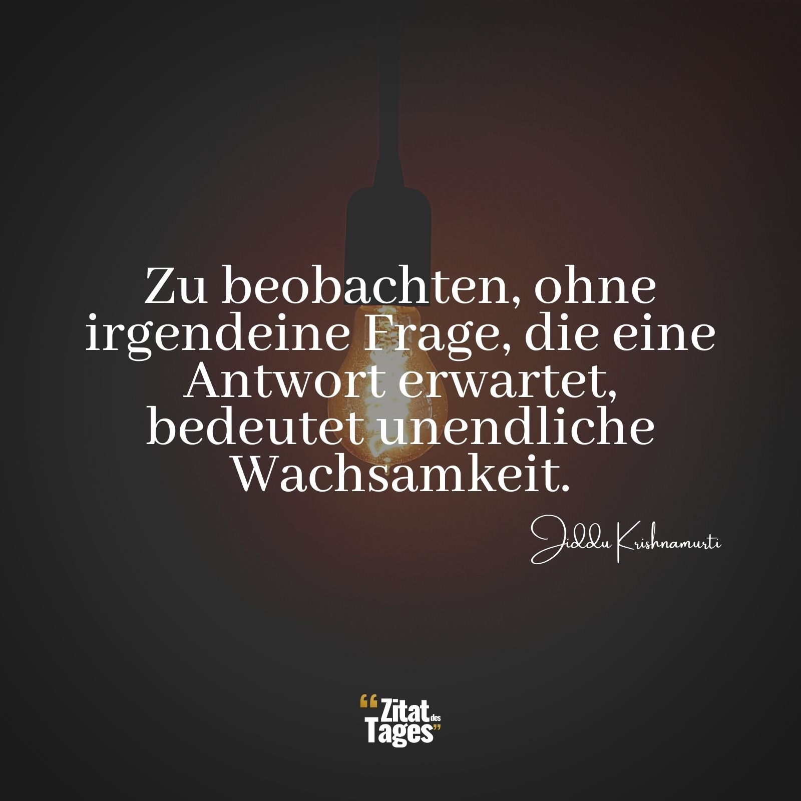 Zu beobachten, ohne irgendeine Frage, die eine Antwort erwartet, bedeutet unendliche Wachsamkeit. - Jiddu Krishnamurti