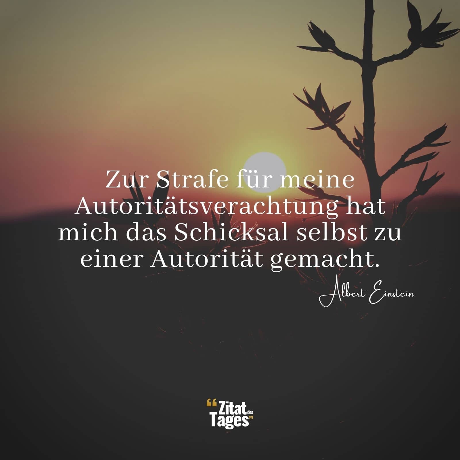 Zur Strafe für meine Autoritätsverachtung hat mich das Schicksal selbst zu einer Autorität gemacht. - Albert Einstein