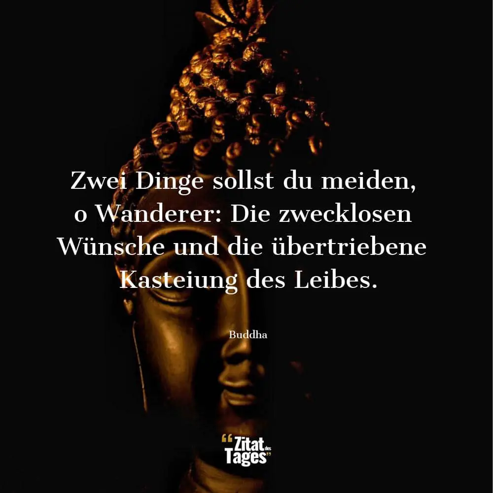 Zwei Dinge sollst du meiden, o Wanderer: Die zwecklosen Wünsche und die übertriebene Kasteiung des Leibes. - Buddha